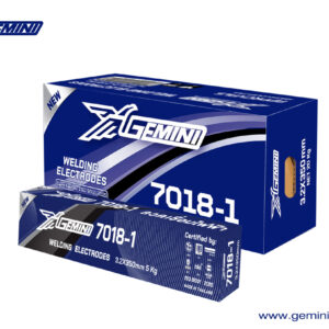 AWS:E7018-A1 | Gemini 7018-1