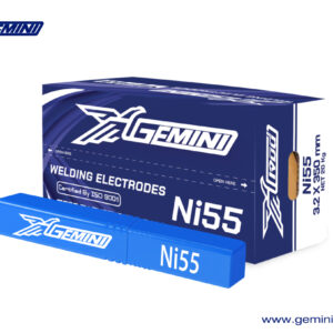 AWS:ENiFe-C1 | Gemini Ni55