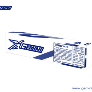AWS:E10-UM-60 | Gemini H67W