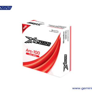 Gemini ARC 100